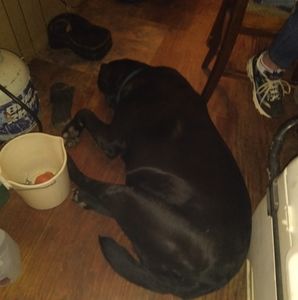 Meet your Posher, Lea